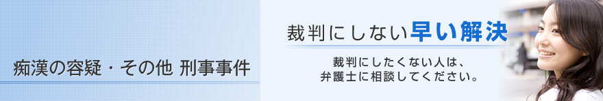 痴漢の容疑・その他刑事事件（痴漢冤罪逮捕を回避。適切に示談へ誘導、解決を図ります）