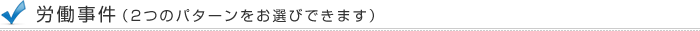 労働事件(2つのパターンをお選びできます)