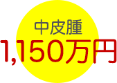 中皮腫 1,150万円