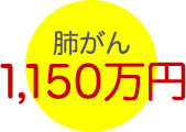 肺がん 1,150万円