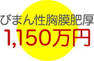 びまん性胸膜肥厚 1,150万円