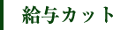 給与カット